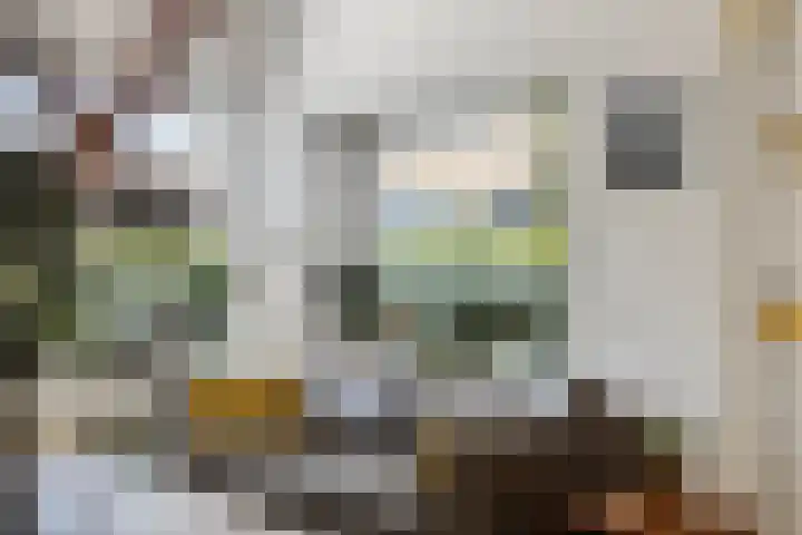 Voorborch 18 Middelburg thumbnail 5