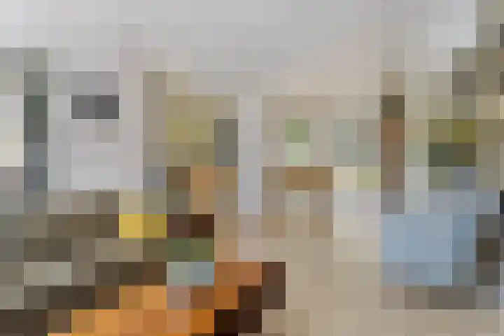 Voorborch 18 Middelburg thumbnail 6