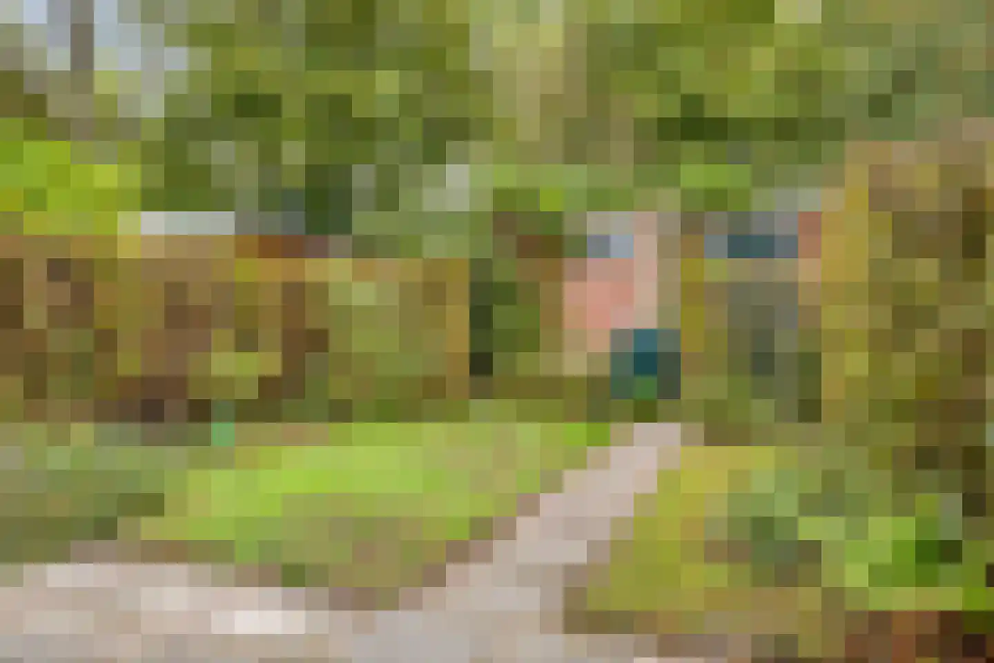 Voorborch 6 Middelburg thumbnail 28