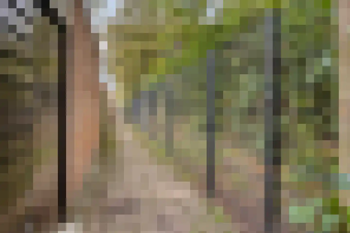 Voorborch 6 Middelburg thumbnail 36
