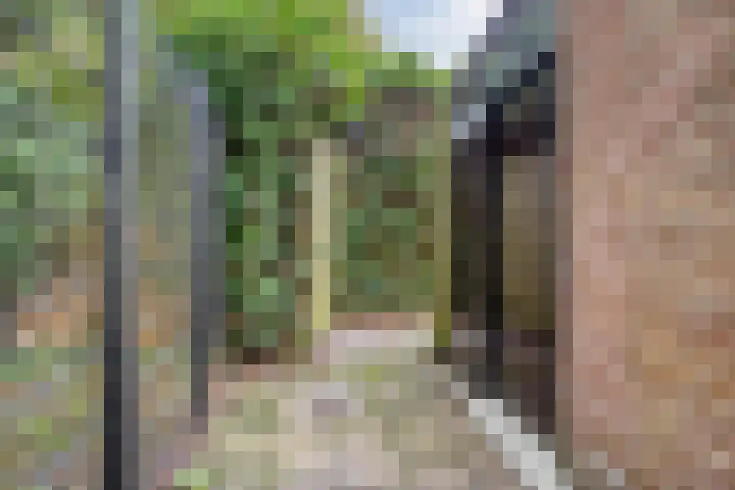 Voorborch 6 Middelburg thumbnail 37