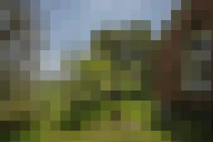 Voorbosweg 9 Buinen thumbnail 27