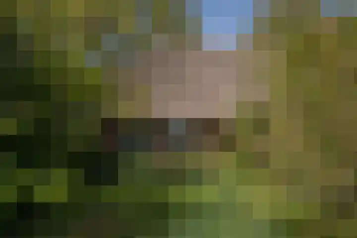 Voorbosweg 9 Buinen thumbnail 28