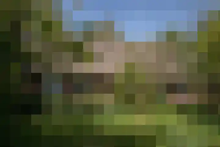 Voorbosweg 9 Buinen thumbnail 29
