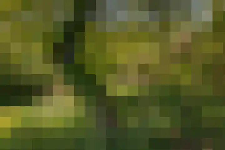 Voorbosweg 9 Buinen thumbnail 30
