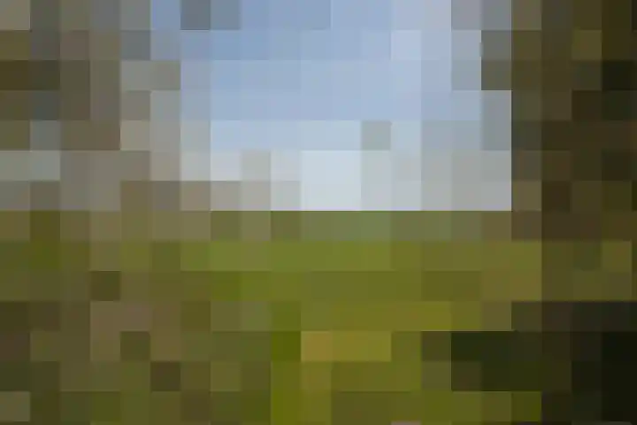 Voorbosweg 9 Buinen thumbnail 31