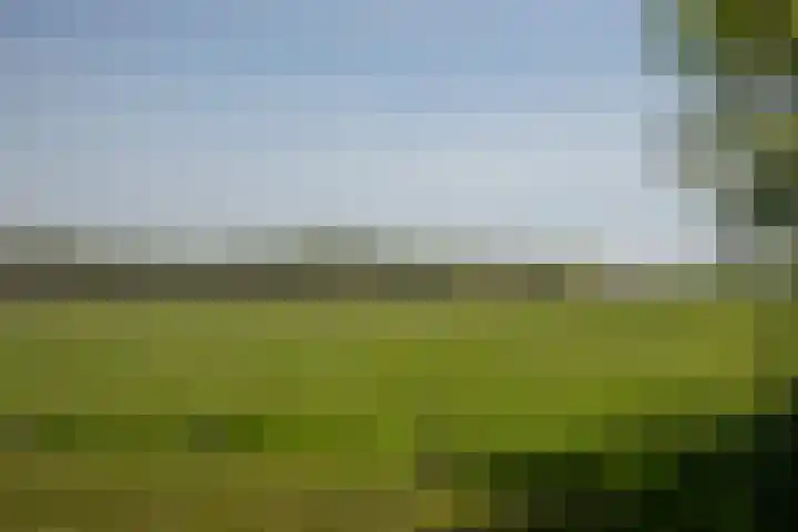 Voorbosweg 9 Buinen thumbnail 32