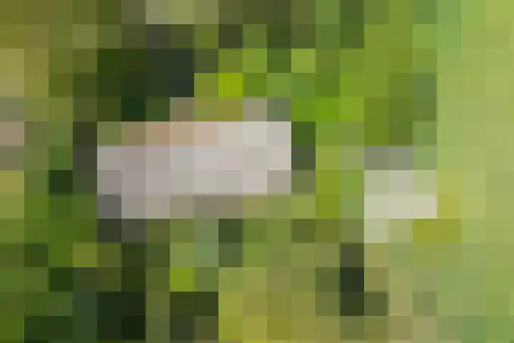 Voorbosweg 9 Buinen thumbnail 33