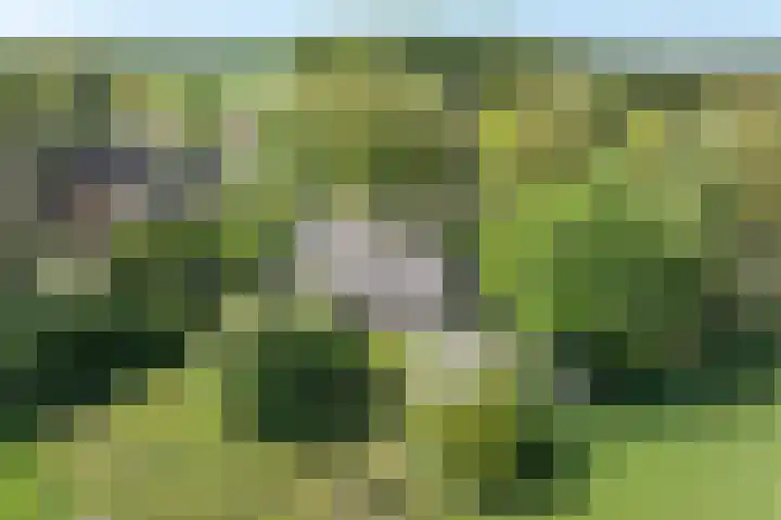 Voorbosweg 9 Buinen thumbnail 34