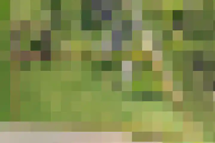 Voorbosweg 9 Buinen thumbnail 35