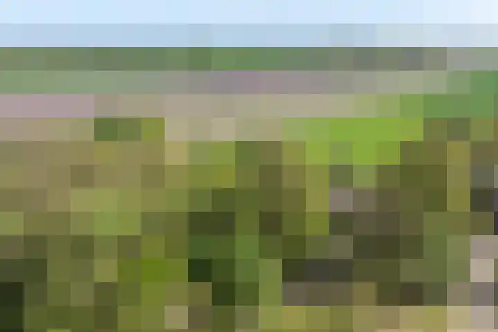 Voorbosweg 9 Buinen thumbnail 36