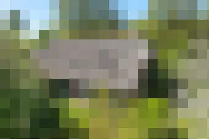 Voorbosweg 9 Buinen thumbnail 39