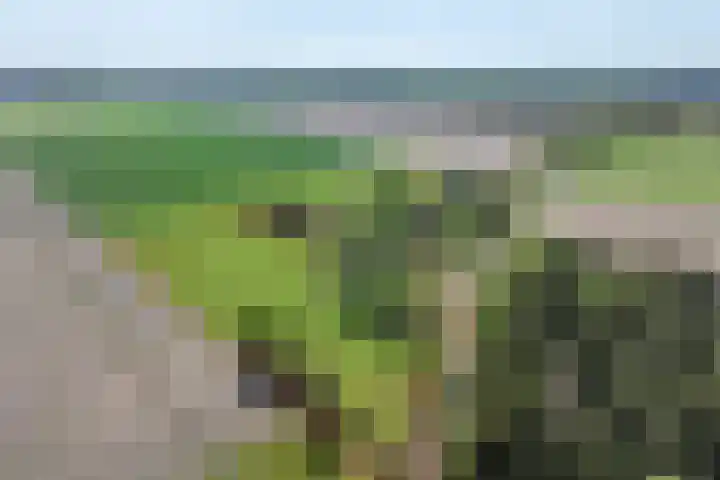 Voorbosweg 9 Buinen thumbnail 4