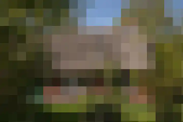 Voorbosweg 9 Buinen thumbnail 41
