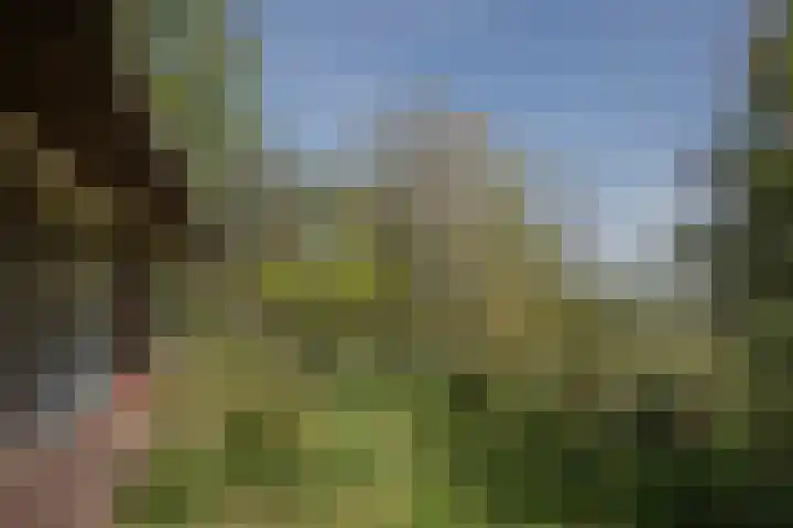 Voorbosweg 9 Buinen thumbnail 42