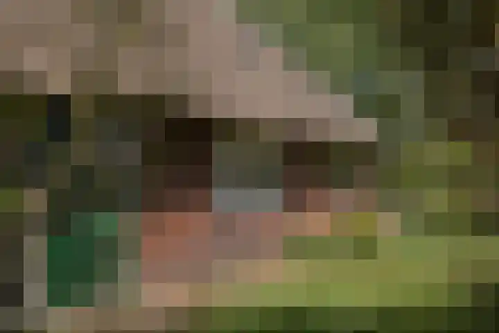 Voorbosweg 9 Buinen thumbnail 43