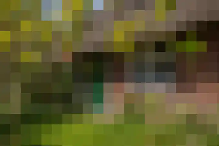 Voorbosweg 9 Buinen thumbnail 44