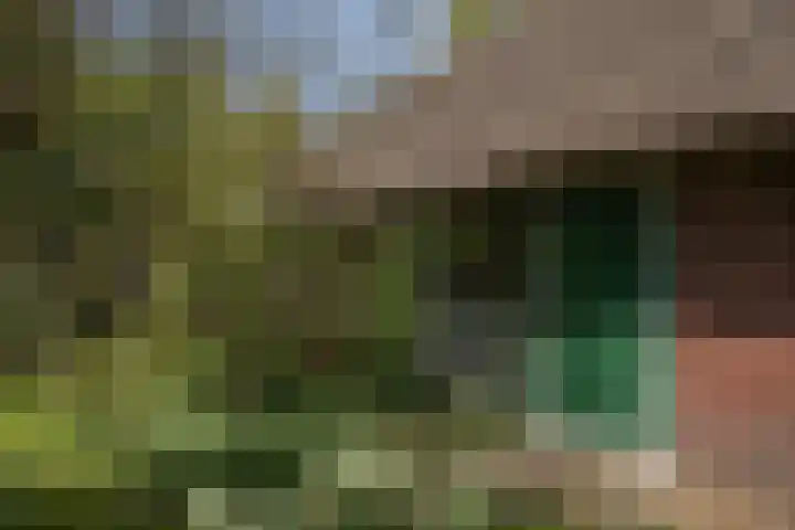 Voorbosweg 9 Buinen thumbnail 45