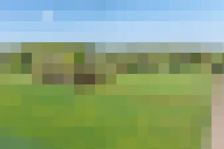 Voorbosweg 9 Buinen thumbnail 46