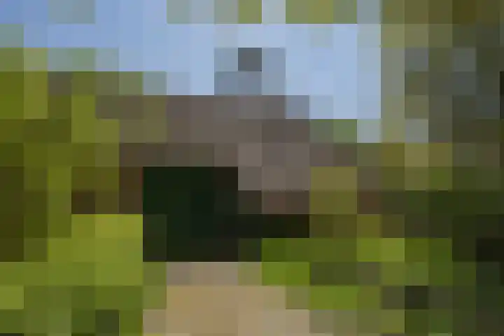 Voorbosweg 9 Buinen thumbnail 47