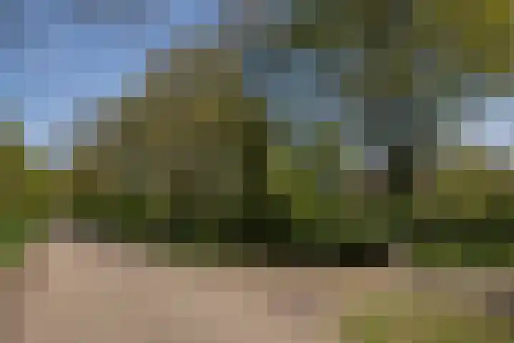 Voorbosweg 9 Buinen thumbnail 48