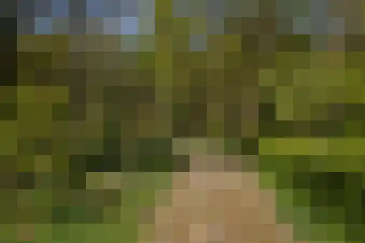 Voorbosweg 9 Buinen thumbnail 49