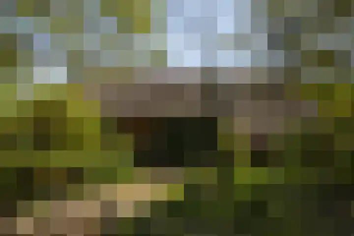 Voorbosweg 9 Buinen thumbnail 5