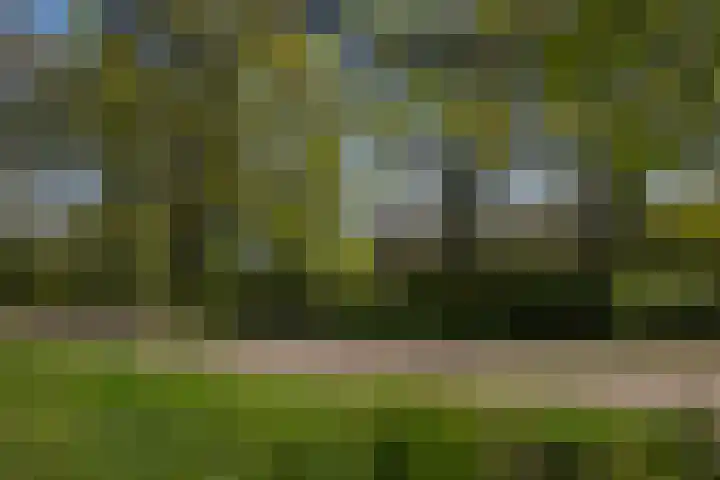 Voorbosweg 9 Buinen thumbnail 50