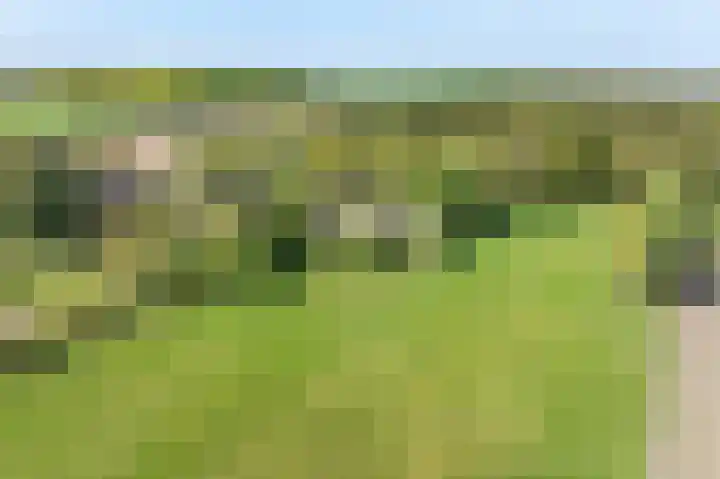 Voorbosweg 9 Buinen thumbnail 55