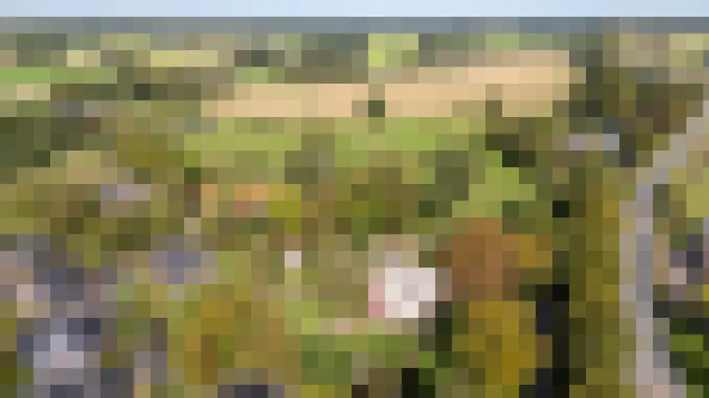 Voorbroek 1 Terborg thumbnail 10