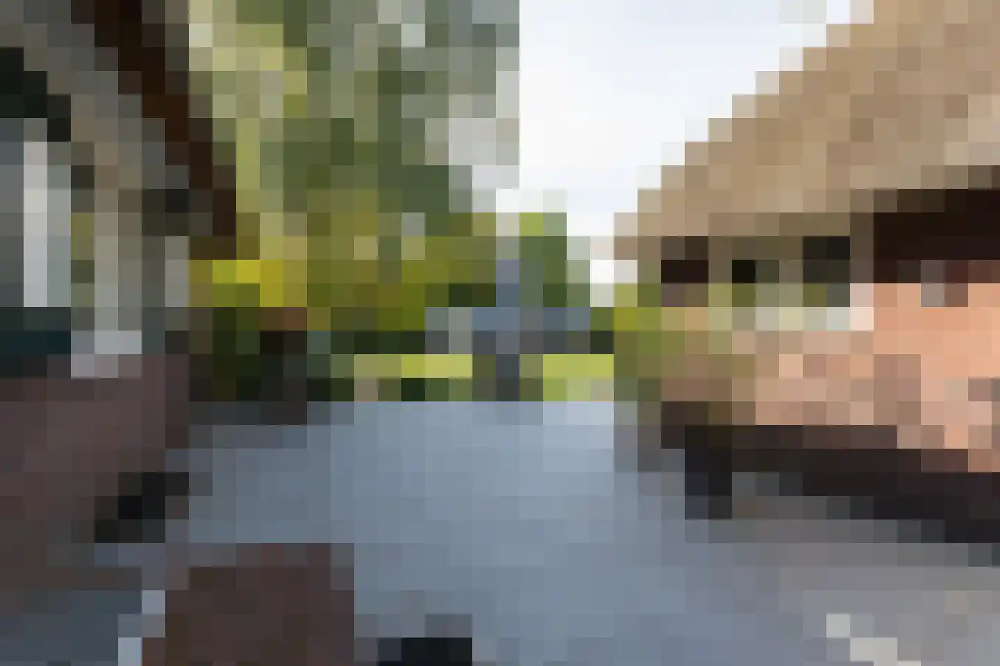 Voorbroek 1 Terborg thumbnail 28