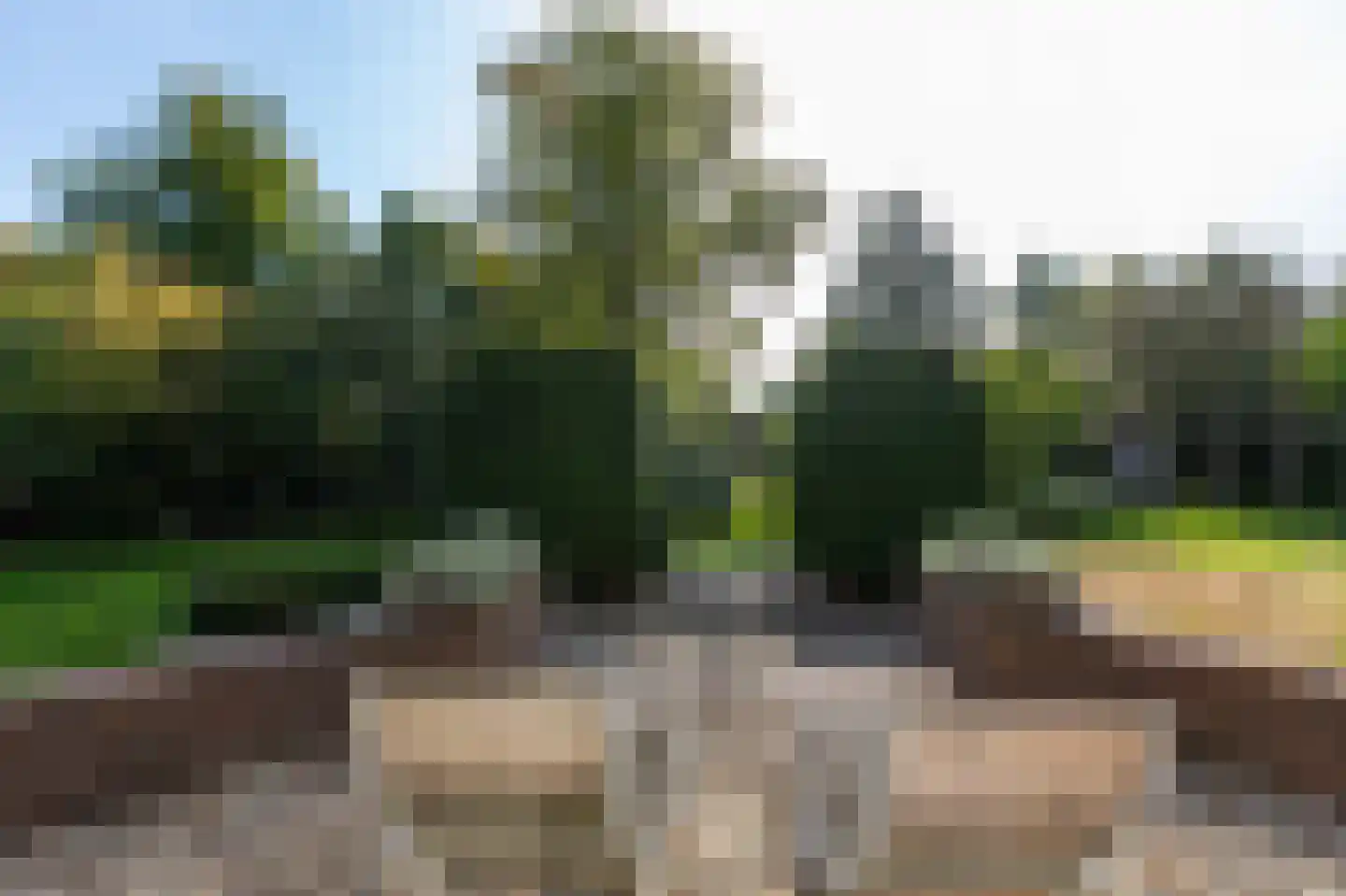 Voorbroek 1 Terborg thumbnail 30
