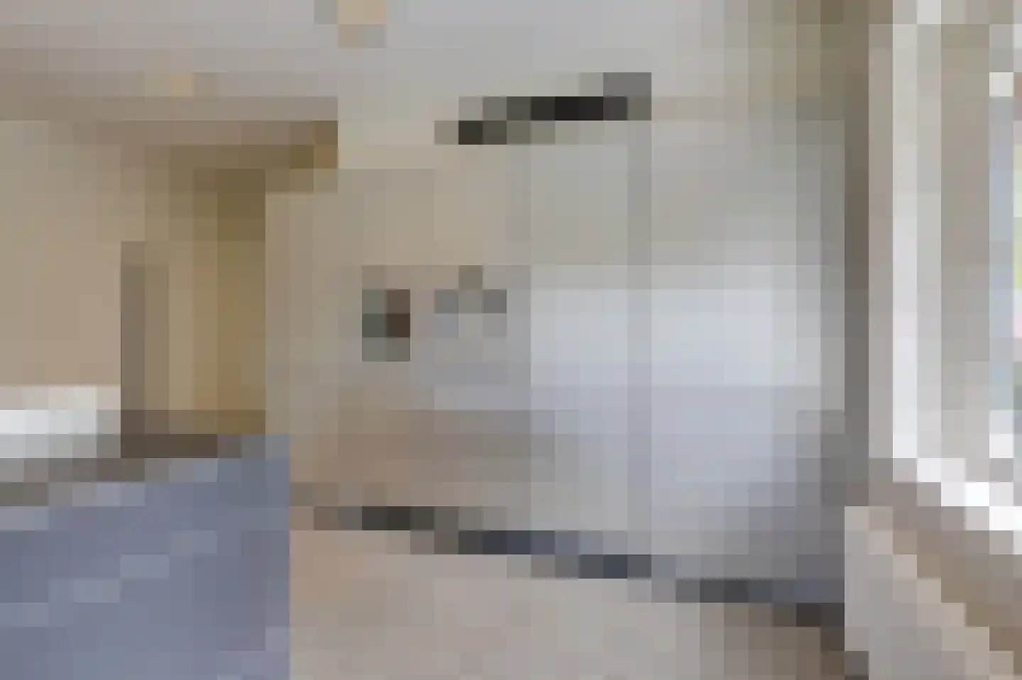 Voorbroek 1 Terborg thumbnail 46