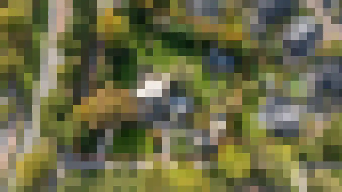 Voorbroek 1 Terborg thumbnail 5
