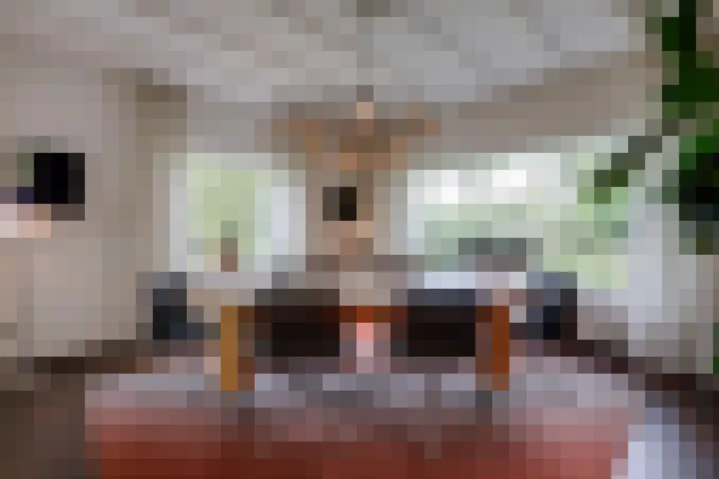 Voorbroek 1 Terborg thumbnail 55
