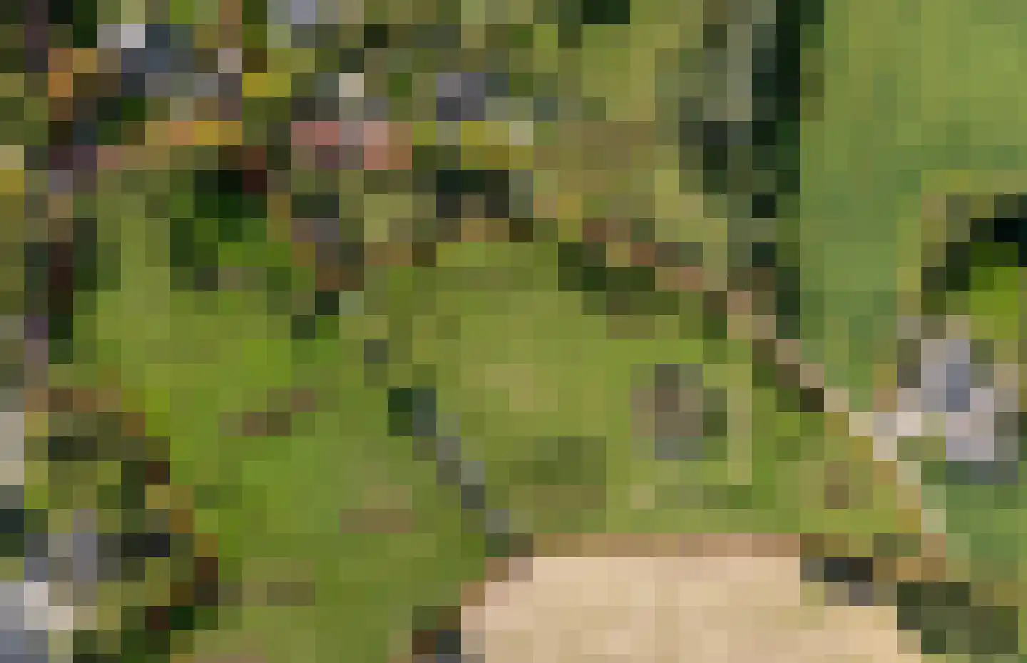 Voorbroek 1 Terborg thumbnail 6