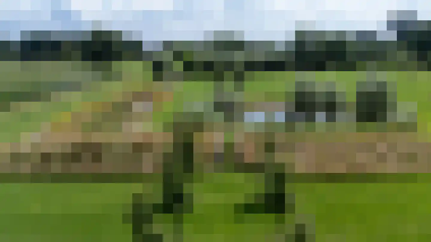 Voorbroek 1 Terborg thumbnail 87