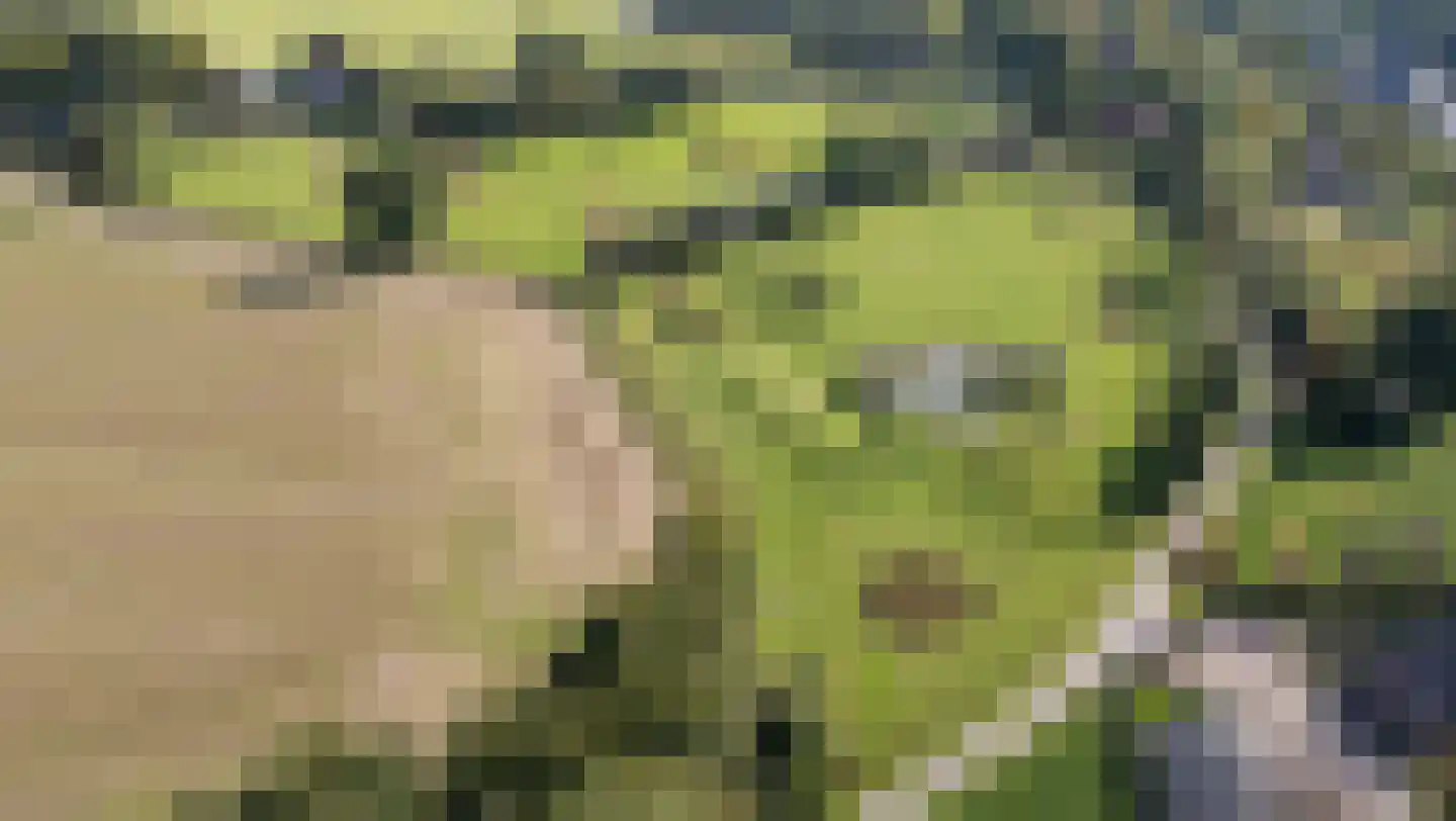Voorbroek 1 Terborg thumbnail 89