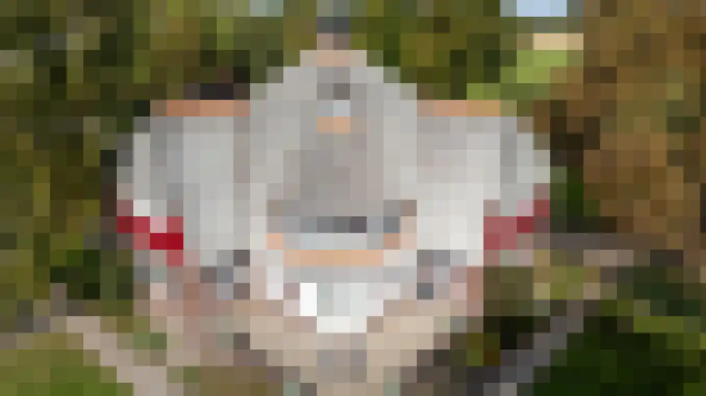 Voorbroek 1 Terborg thumbnail 9