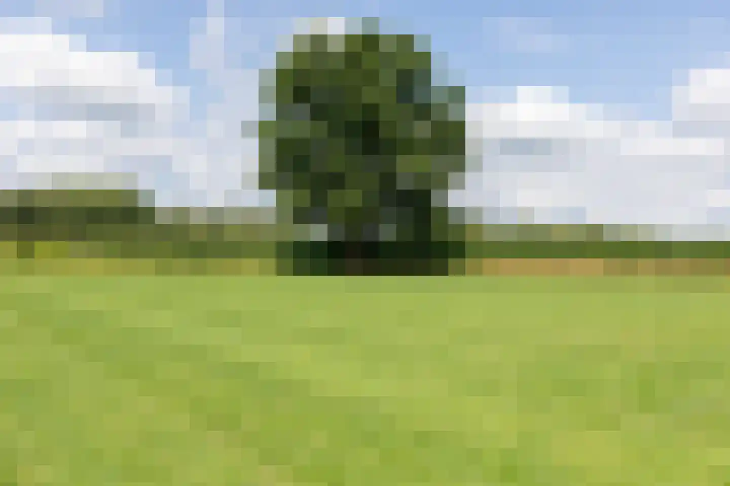 Voorbroek 1 Terborg thumbnail 90