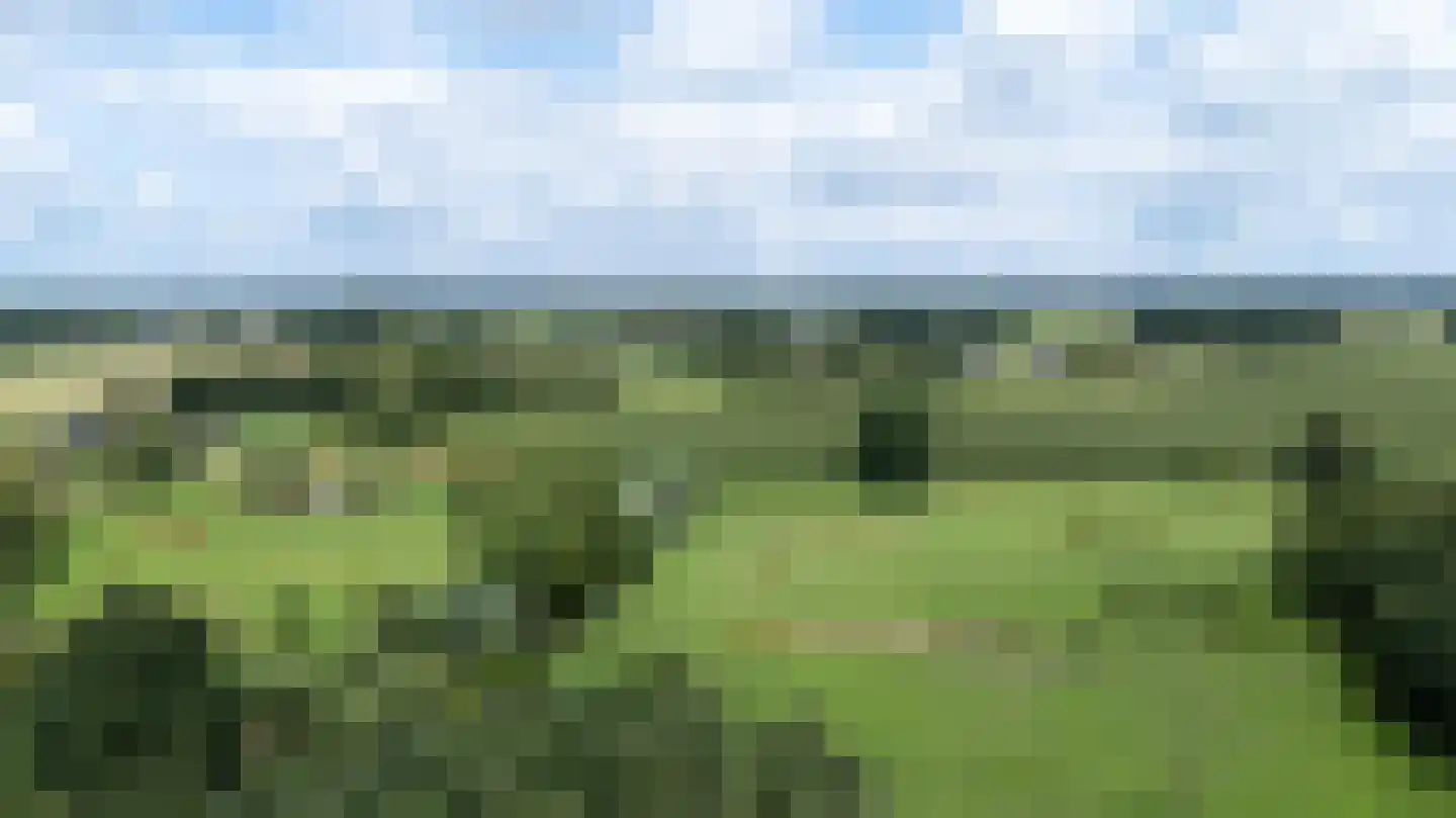 Voorbroek 1 Terborg thumbnail 91