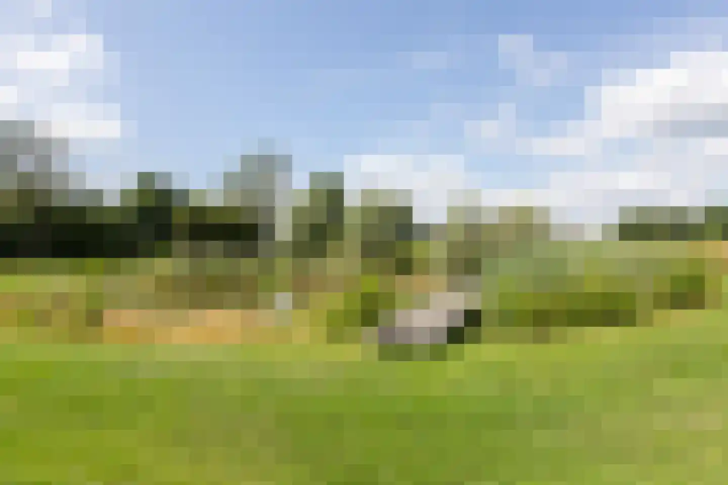 Voorbroek 1 Terborg thumbnail 94