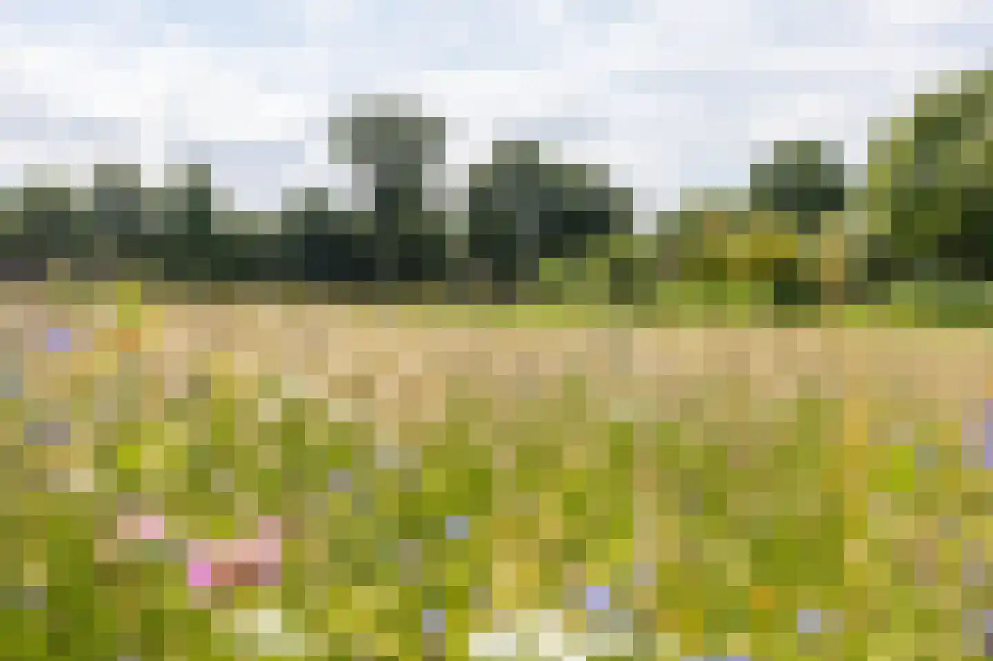 Voorbroek 1 Terborg thumbnail 95