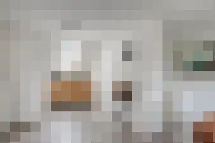 Voorbrug 15 Ommen thumbnail 14
