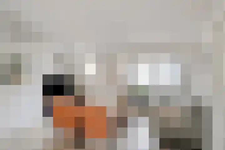 Voorbrug 15 Ommen thumbnail 15