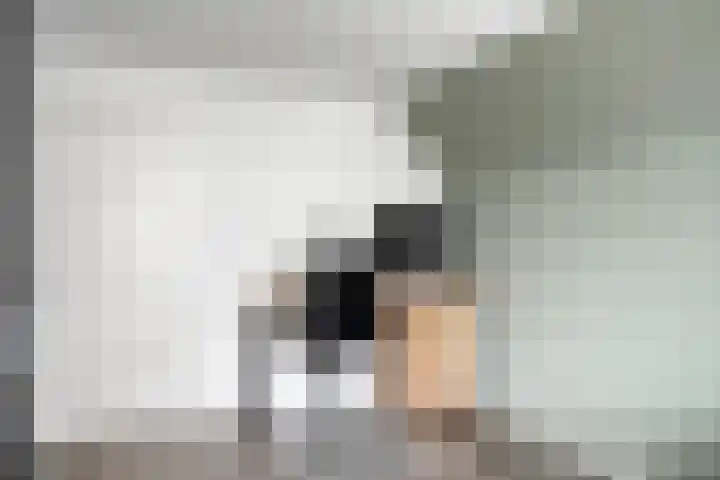 Voorbrug 15 Ommen thumbnail 18