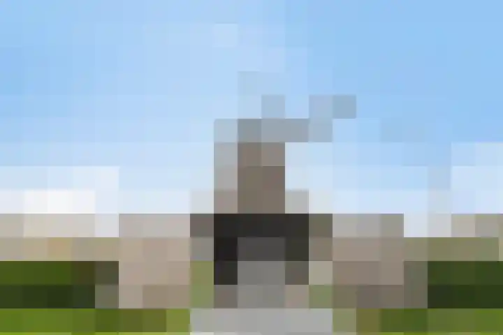 Voorbrug 15 Ommen thumbnail 28