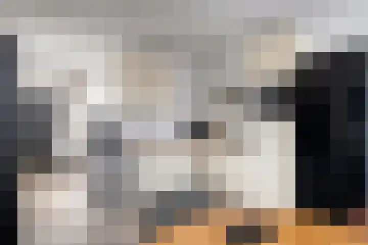 Voorbrug 15 Ommen thumbnail 5
