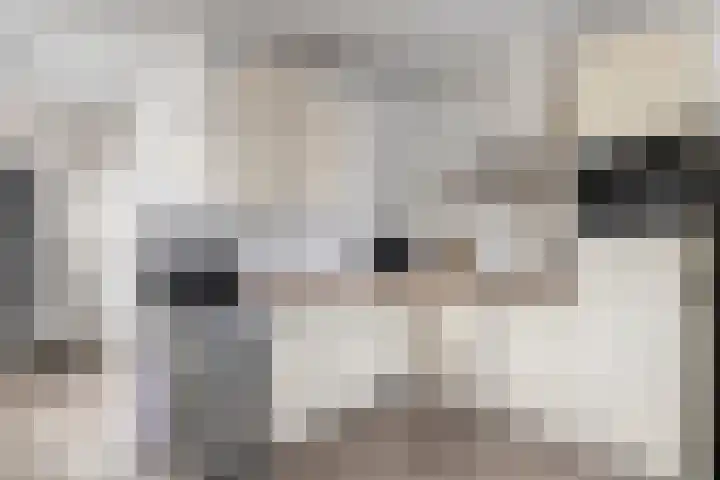Voorbrug 15 Ommen thumbnail 6
