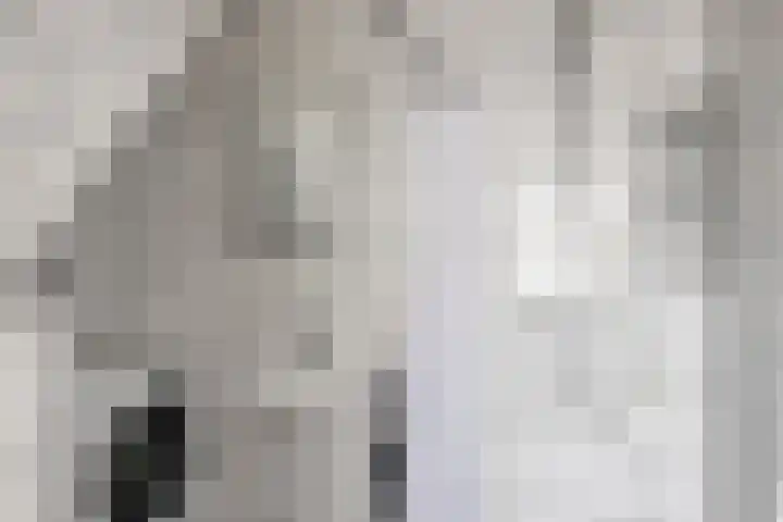 Voorbrug 15 Ommen thumbnail 9